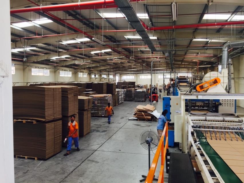 Al masr man in Packeging work