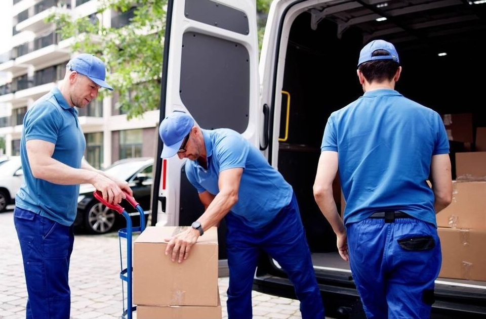 Supply Chain and Logistics Coordinators