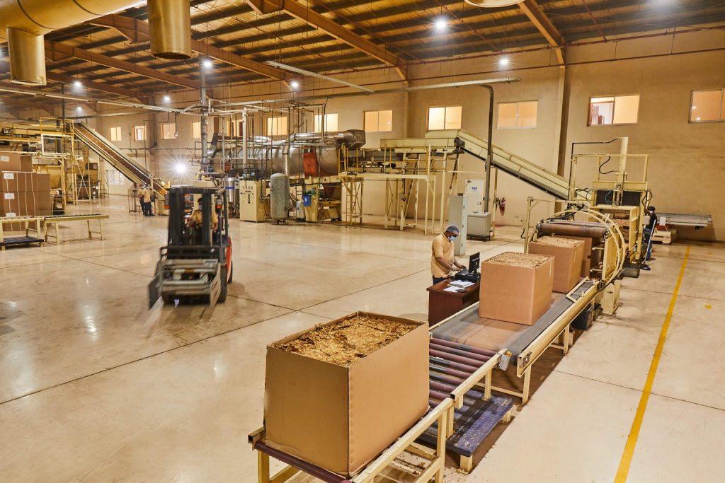 Al masar worker on tobacco factory